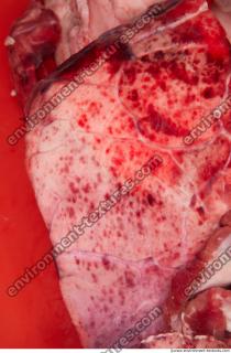 RAW meat pork 0227